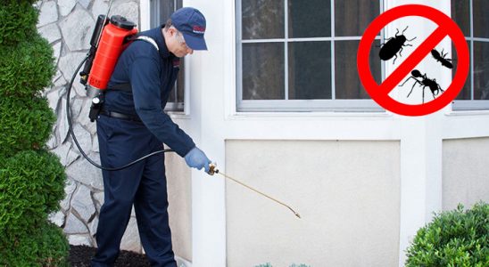 Çamlık Böcek İlaçlama böcek ilaçlama ve haşere kontrolü — ilaclama-tr.com